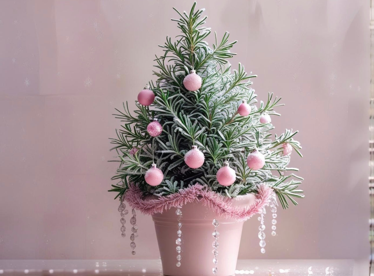 PINK WINTER WISH